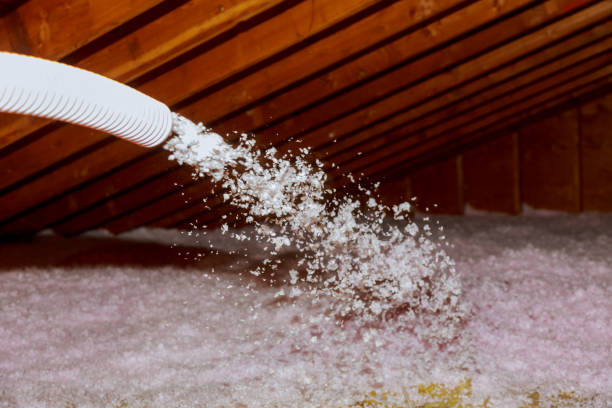 Best Insulation for Specific Applications in Canby, MN