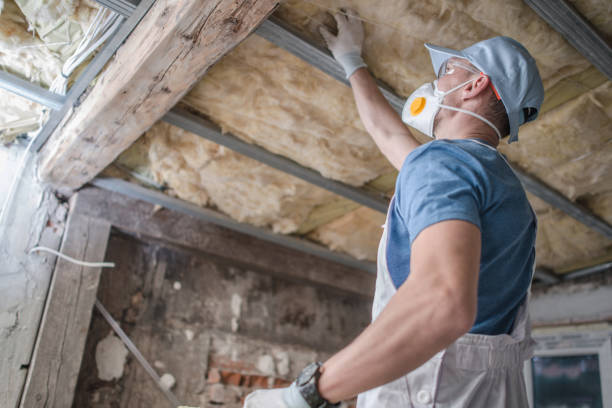 Best Insulation Maintenance and Repair in Canby, MN