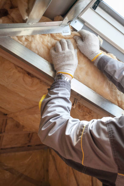Best Commercial Insulation in Canby, MN