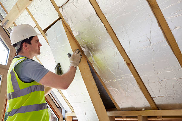 Best Specialty Insulation in Canby, MN